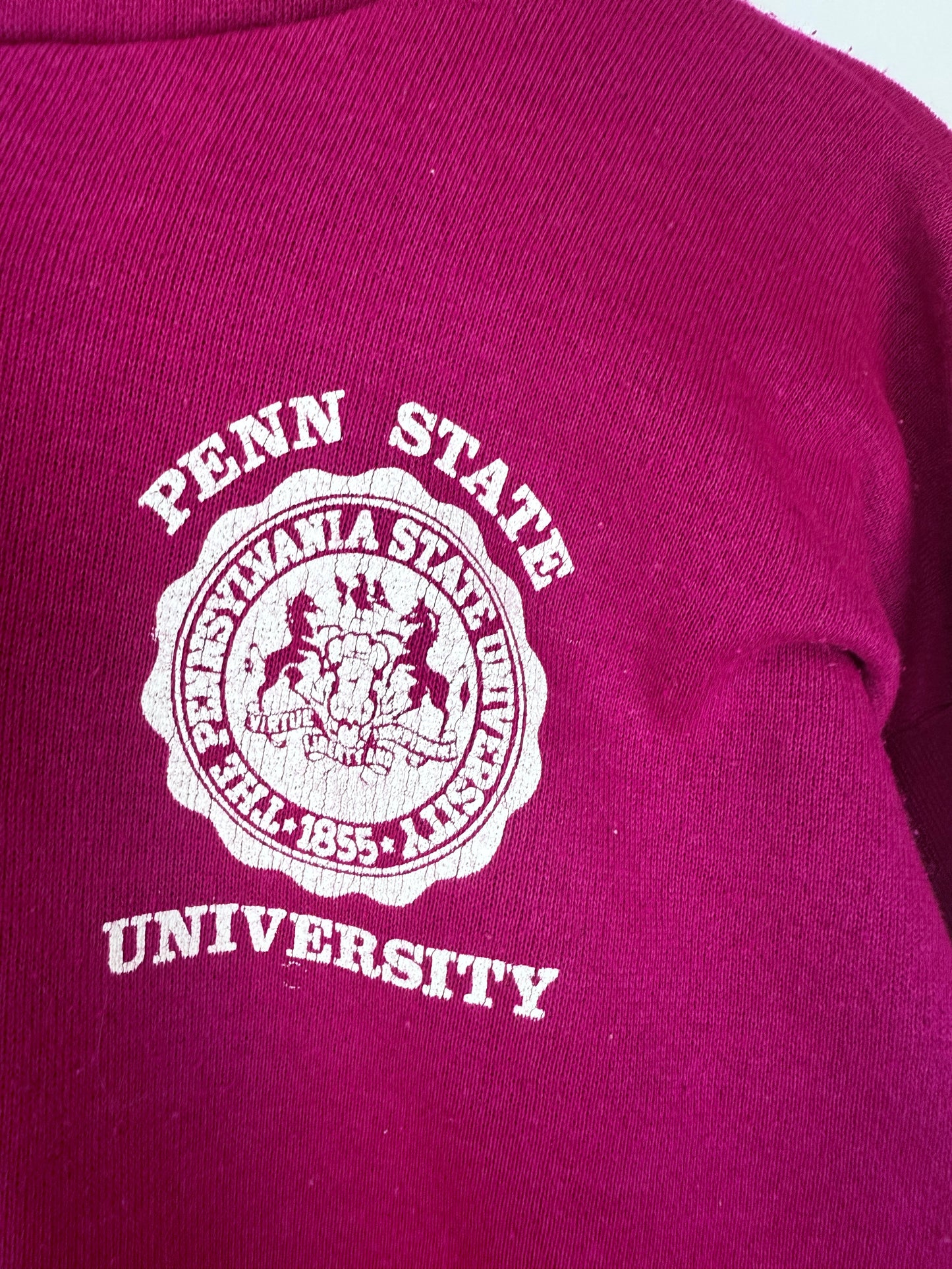 Penn State University Zip Hoodie - US College Apparel