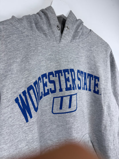 Worcester State College Hoodie - USA College Apparel